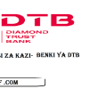 Profile of Diamond Trust Bank Tanzania Plc (DTBT)