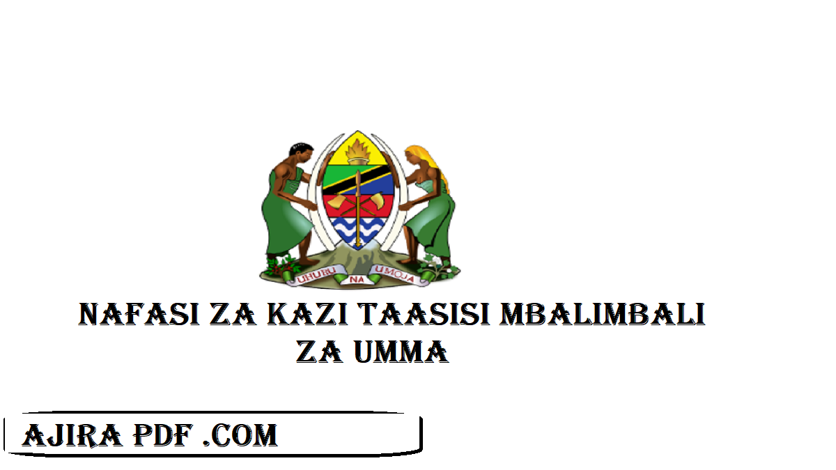 NAFASI ZA KAZI TAASISI MBALIMBALI ZA UMMA 27-08-2024 | JOB VACANCIES IN VARIOUS PUBLIC INSTITUTIONS