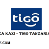 Profile of TIGO Tanzania