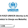 Profile of UNHCR (United Nations High Commissioner for Refugees)